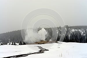 Old Faithful Geyser erupting