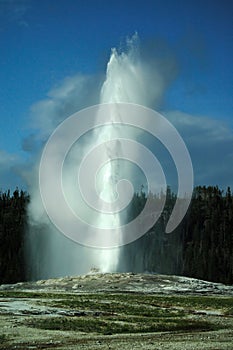 Old faithful geyser erupting