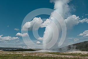 Old Faithful Geyser erupting during the day in Yellowstone National Park