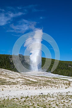 Old faithful geyser erupting in summer, Yellowstone National Park Wyoming hot springs