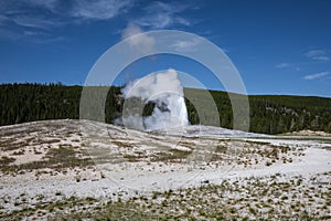 Old faithful geyser erupting in summer, Yellowstone National Park Wyoming hot springs