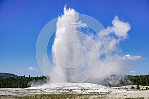 The Old Faithful geyser erupting, Yellowstone National Park