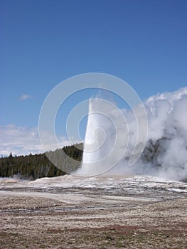 Old faithful geyser erupting in Yellowstone National Park