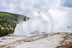 Old Faithful geyser erupting - Yellowstone National Park- Yellow