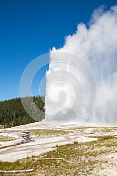 Old Faithful geyser eruption into Yellowstone National Park, USA