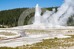 Old Faithful geyser eruption into Yellowstone National Park, USA