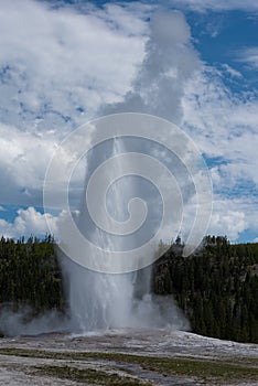 Old Faithful geyser erupts