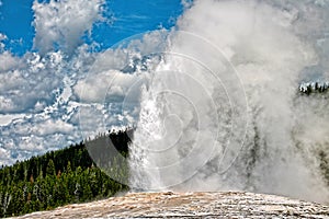 Old Faithful geyser erupts in a cloud of steam