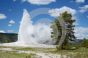 Old Faithful Geyser erupts right on time.