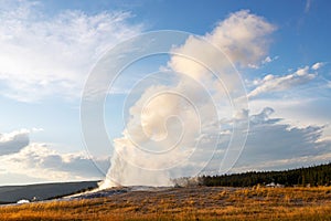 Old Faithful Geyser Erupts at Yellowstone National Park