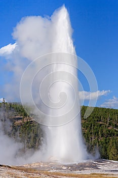 Old Faithful Geyser and Fountain at Yellowstone National Park Wyoming USA