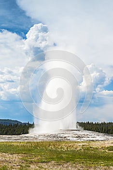 Old faithful geyser,some scenic view of landscape in geysers area in yellow stone,Wyoming,usa