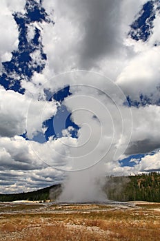 The Old Faithful Geyser in Yellowstone