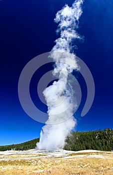 The Old Faithful Geyser in Yellowstone