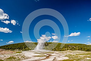 Old Faithful geyser in Yellowstone National Park