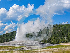 Old Faithful Geyser in Yellowstone National Park