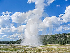 Old Faithful Geyser in Yellowstone National Park