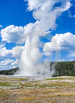 Old Faithful Geyser in Yellowstone National Park