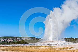 Old Faithful geyser at Yellowstone National Park