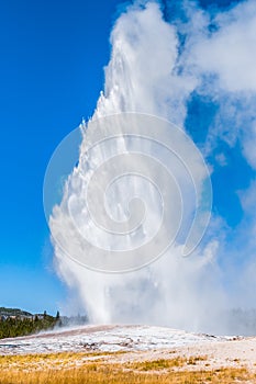 Old Faithful geyser at Yellowstone National Park