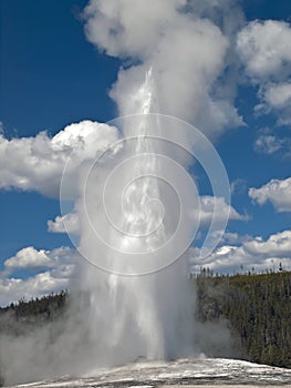 Old Faithful Geyser in Yellowstone National Park