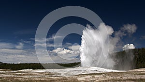 Old Faithful Geyser. Yellowstone National Park