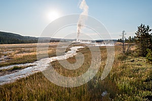 Old Faithful Geyser in Yellowstone National Park