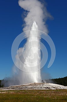 Old Faithful geyser in Yellowstone National Park,USA.