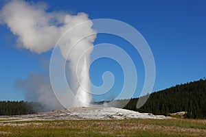 Old Faithful geyser in Yellowstone National Park,USA.