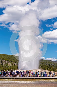 Old Faithful Geyser in Yellowstone National Park, USA