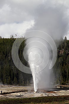 Old Faithful Geyser Yellowstone National Park, WY