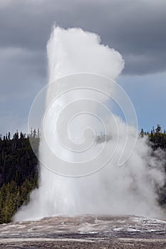 Old faithful in Yellowstone