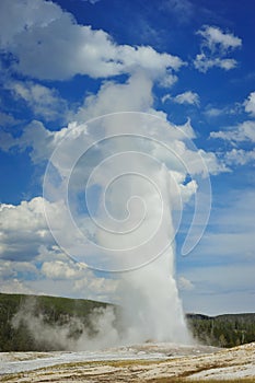 Old Faithful at Yellowstone