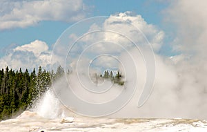 Old Faithful, Yellowstone National Park