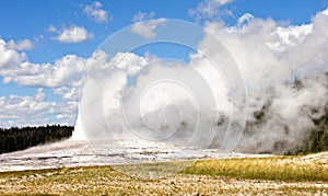 Old Faithful, Yellowstone National Park