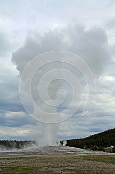 Old Faithful Yellowstone National Park