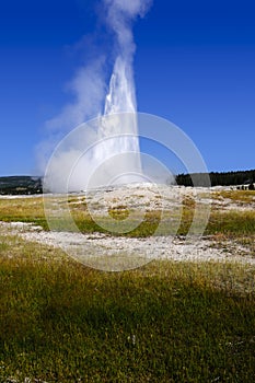 Old Faithful Yellowstone National Park