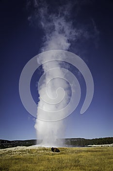 Old Faithful - Yellowstone National Park