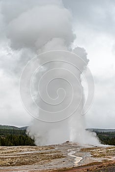 Old Faithful in Yellowstone National Park , WY