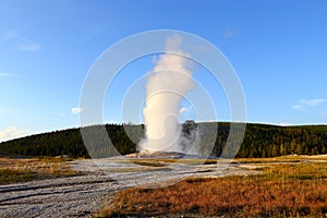 Old Faithful in Yellowstone national park, Wyoming