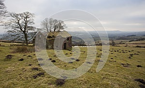 Old farm house ruin