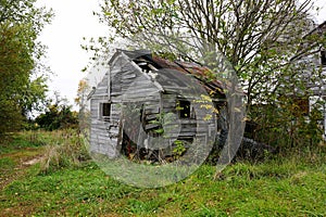 an old farm shed abandoned in the woods.