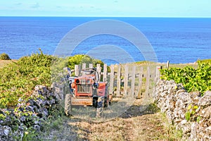 Old farm tractor.