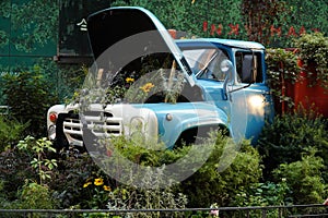 Old farm truck in the country surrounded by wild flowers photo