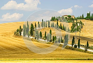 Old farm in Val d'Orcia (Tuscany) photo