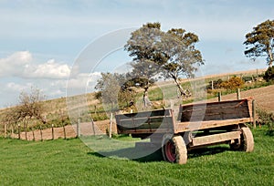 Old farm wagon in meadow photo
