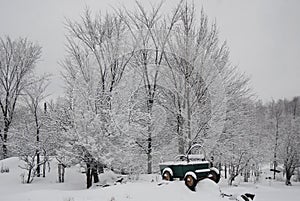 Old farm wagon in winter scen