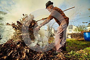 Old farmer burning dead leaves