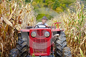 Old farmer driving the tractor in the cornfield