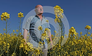 Old farmer in field of rapeseed